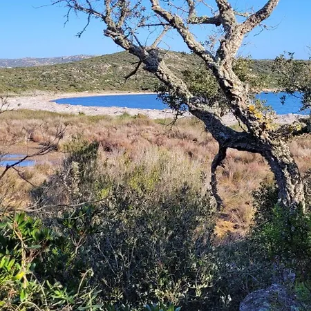 Σπίτι διακοπών Acciagina 10 Pers Piscine Vue Pinarello Climatisee