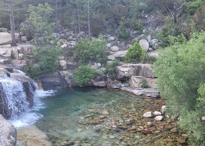 Semesterbostad Acciagina 10 Pers Piscine Vue Pinarello Climatisee Pinarellu