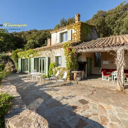 Acciagina 10 Pers Piscine Vue Pinarello Climatisee Pinarellu