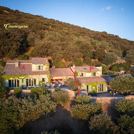 Holiday home Acciagina 10 Pers Piscine Vue Pinarello Climatisee Pinarellu (Corsica)