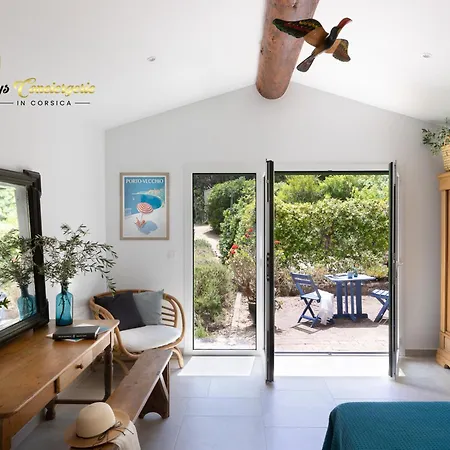 Acciagina 10 Pers Piscine Vue Pinarello Climatisee Holiday home