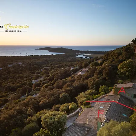 別荘 Acciagina 10 Pers Piscine Vue Pinarello Climatisee *