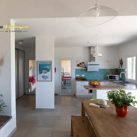 Acciagina 10 Pers Piscine Vue Pinarello Climatisee Pinarellu