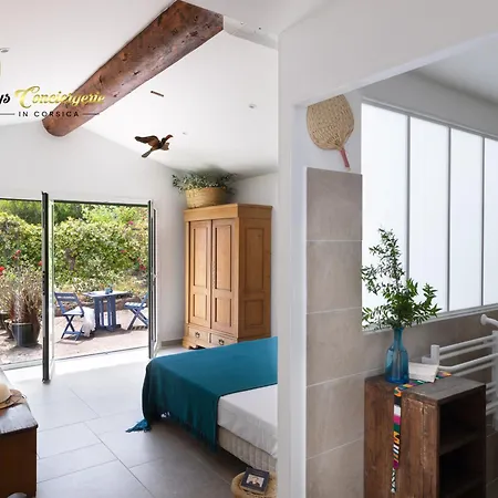 Acciagina 10 Pers Piscine Vue Pinarello Climatisee Holiday home *