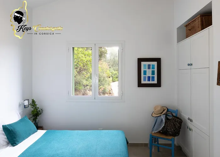 Prázdninový dům Acciagina 10 Pers Piscine Vue Pinarello Climatisee *