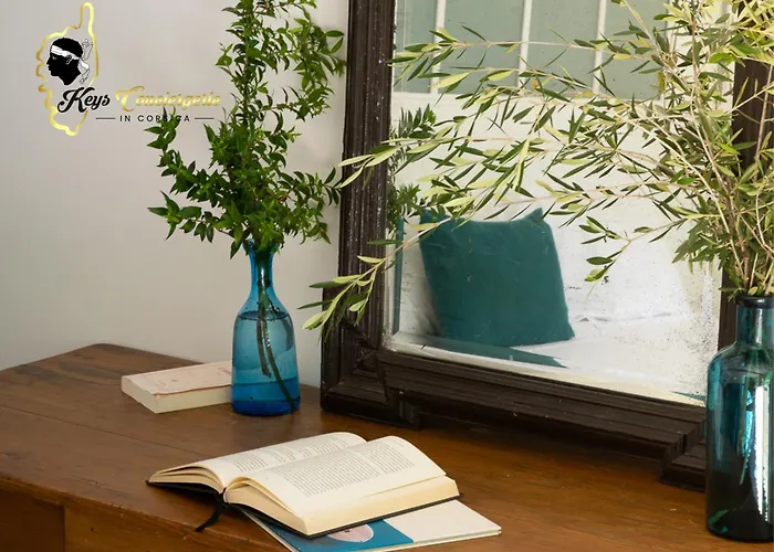 Acciagina 10 Pers Piscine Vue Pinarello Climatisee * Pinarellu