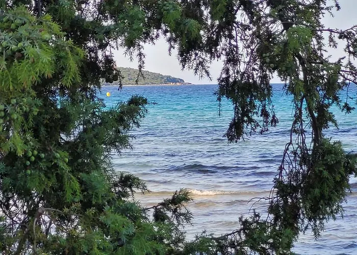 Acciagina 10 Pers Piscine Vue Pinarello Climatisee *